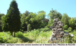 Ruines, Vignoble Domaine des 3 Moulins
