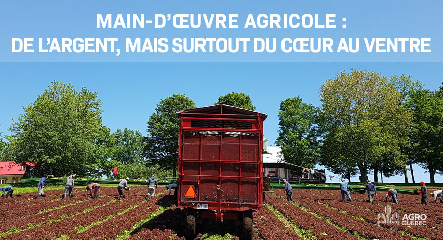 Main-d'oeuvre agricole